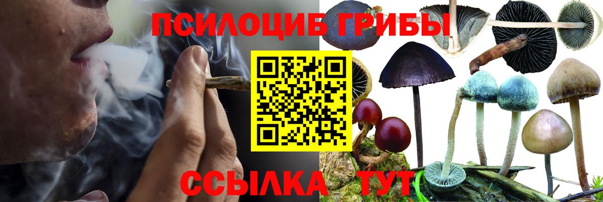 Псилоцибиновые грибы MAGIC MUSHROOMS Советская Гавань
